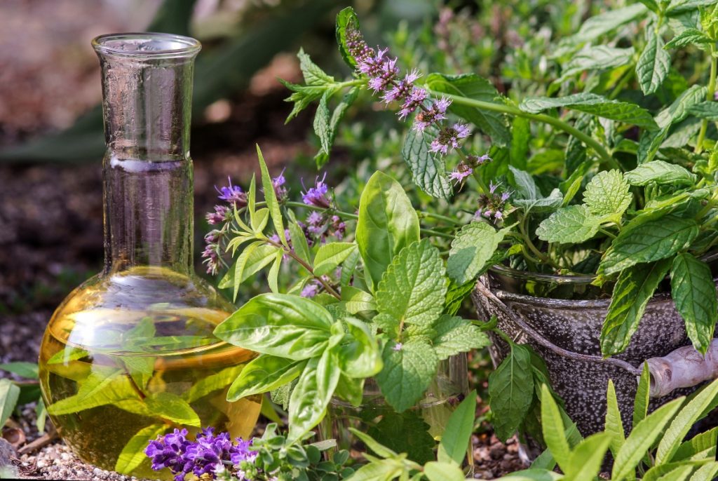 aceto di lavanda: usi e ricetta fai-da-te