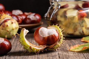 Ippocastano: proprietà, benefici, usi e botanica