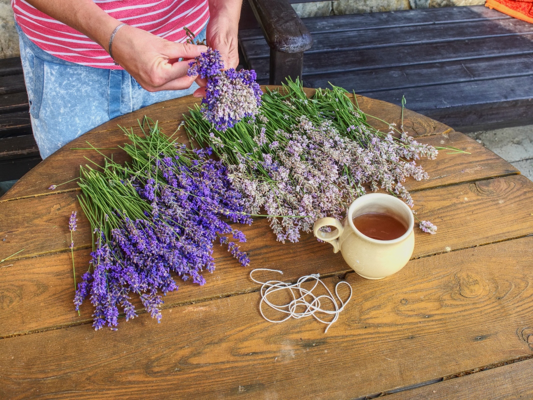 lavanda: tisana rilassante