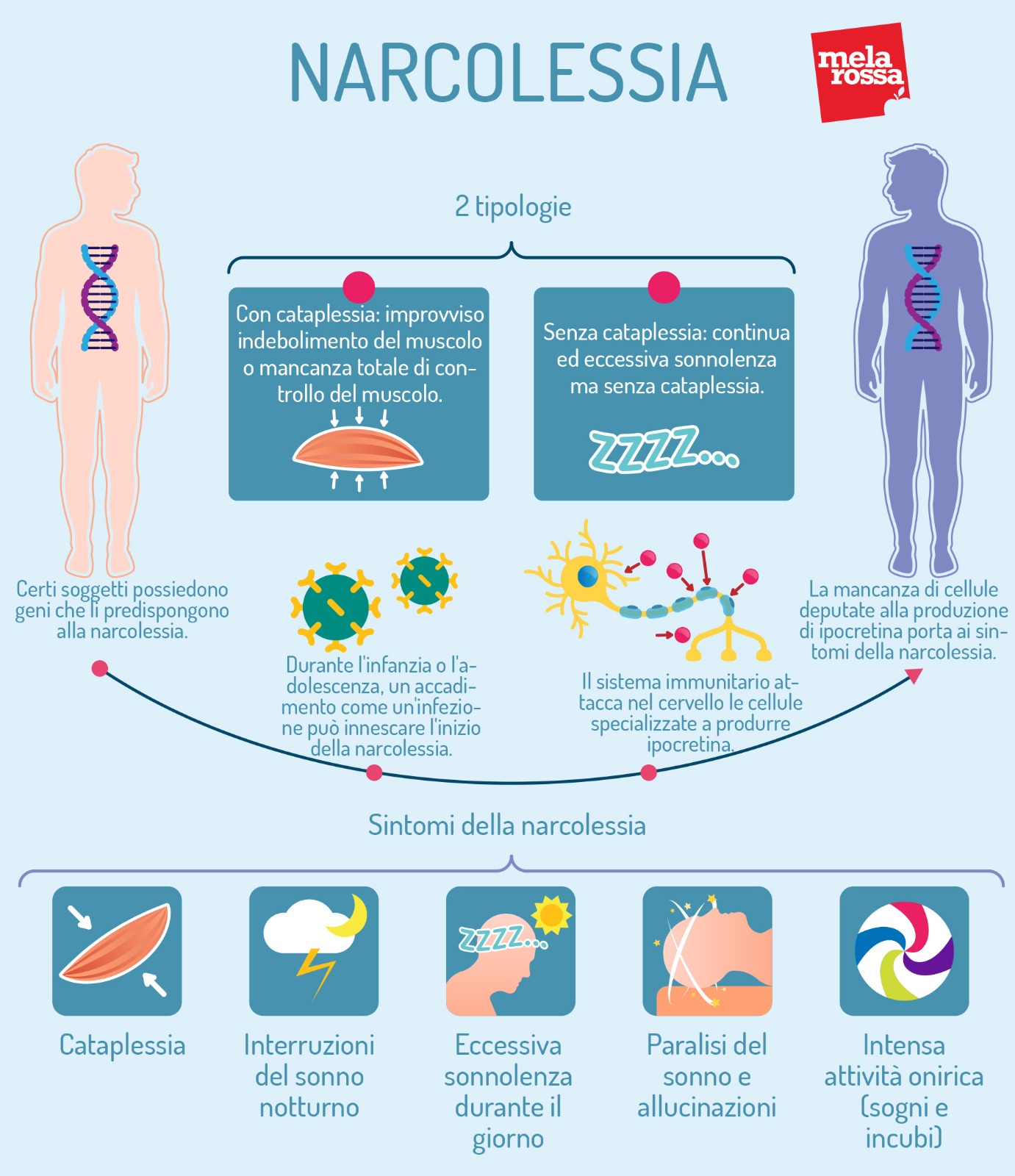 Narcolessia: tipologia e sintomi