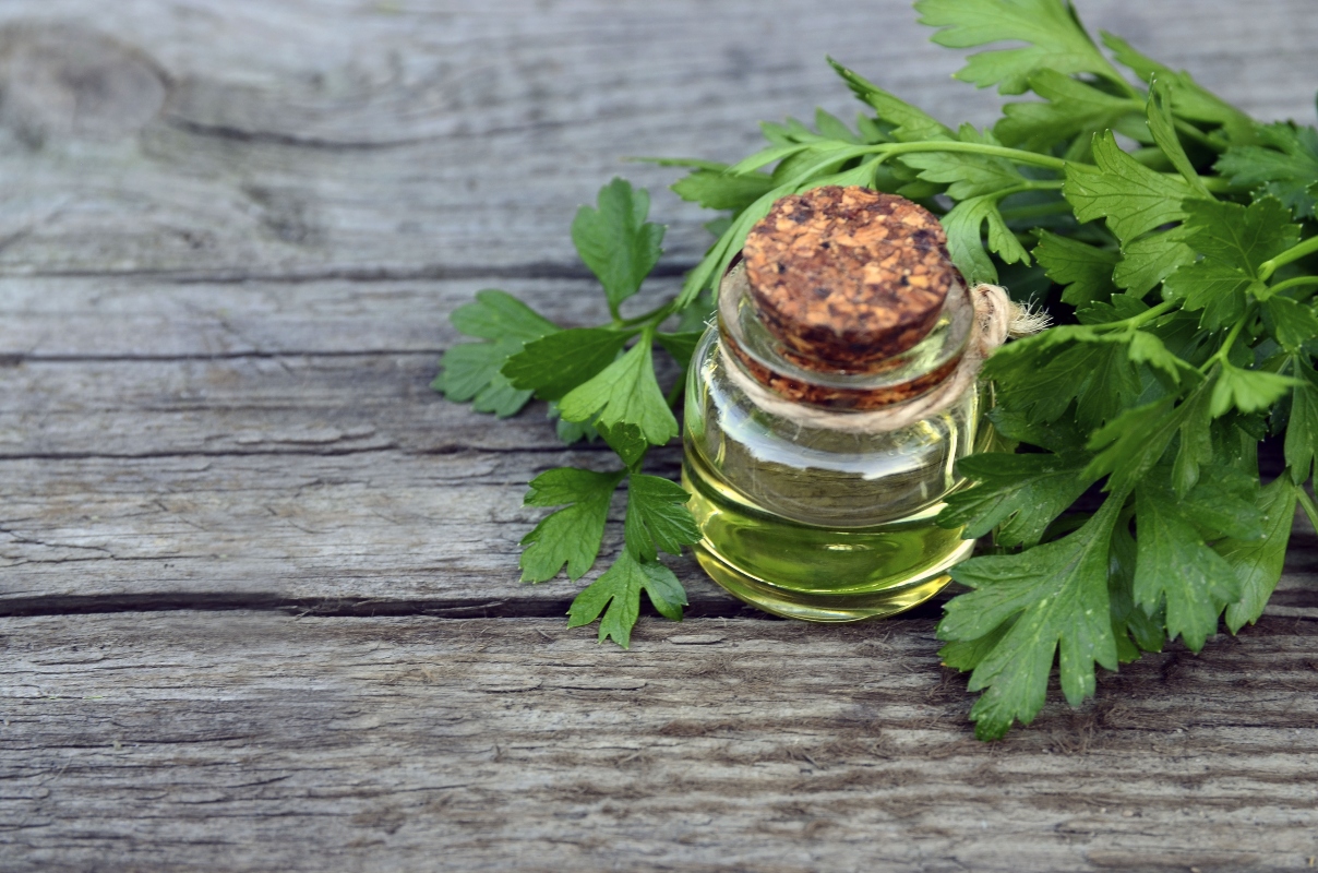 prezzemolo: olio essenziale