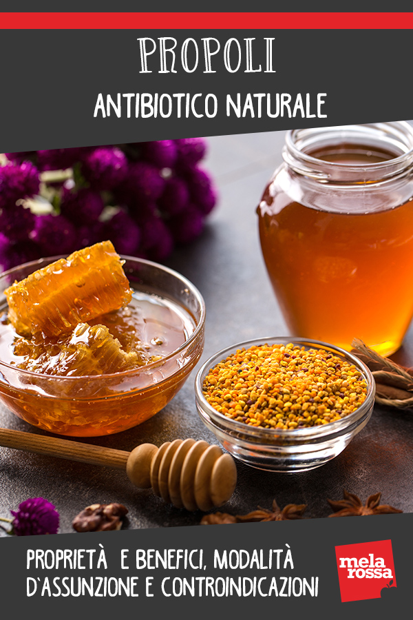 Propoli: antibiotico naturale