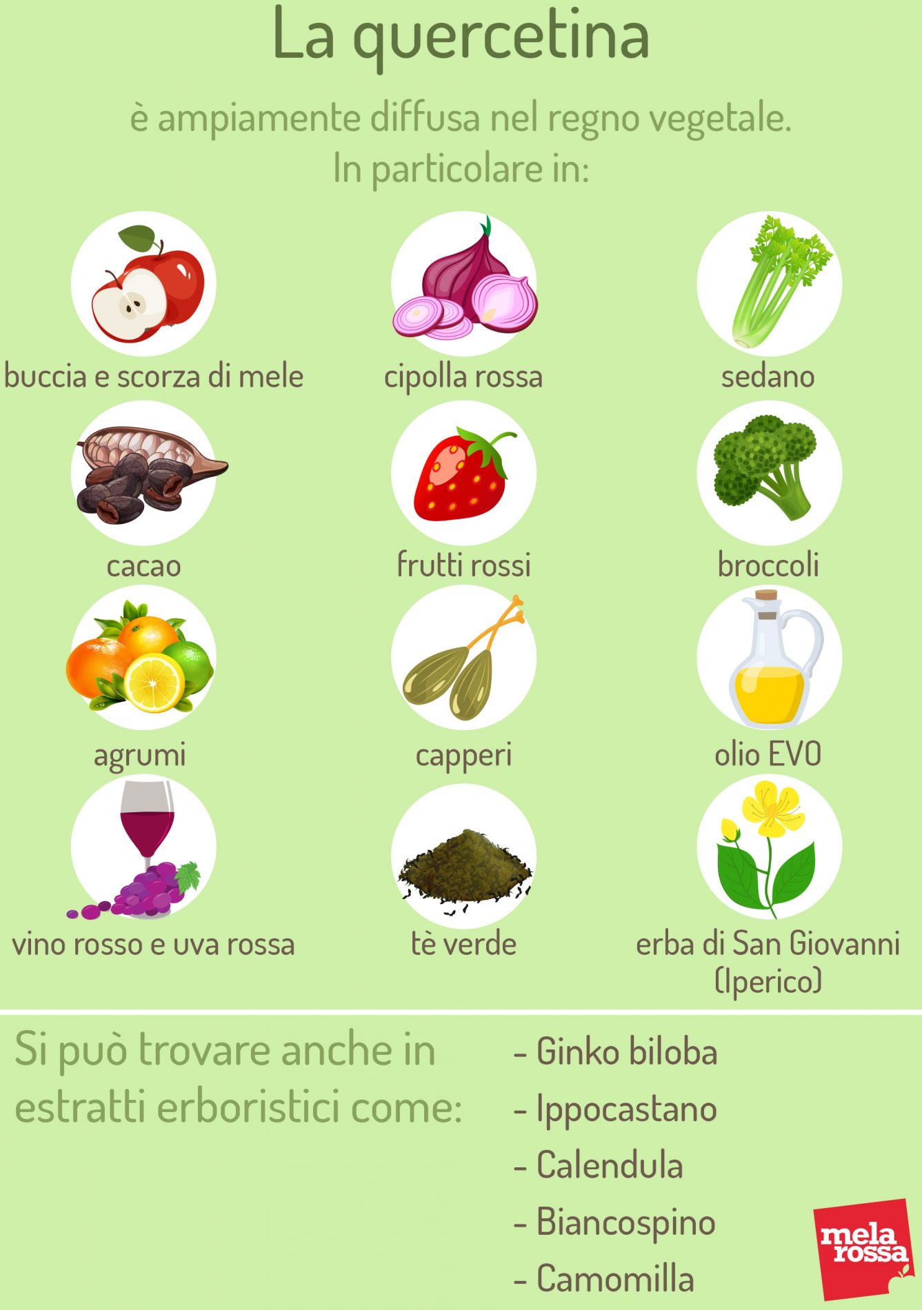 quercetina alimenti 1
