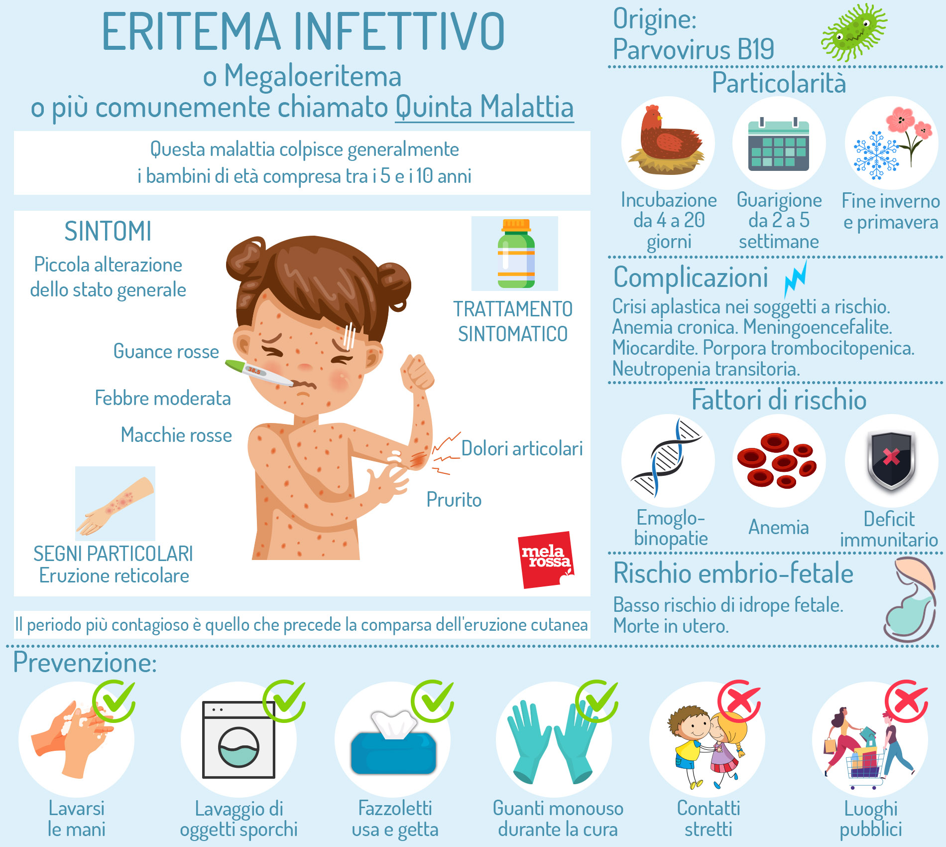 Quinta malattia: sintomi, origine. infografica