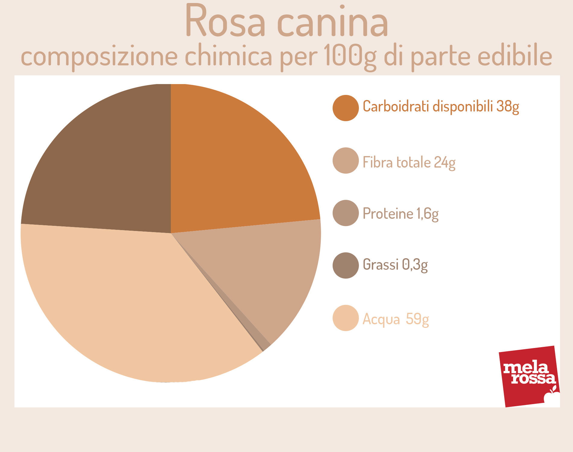 rosa canina: valori nutrizionali