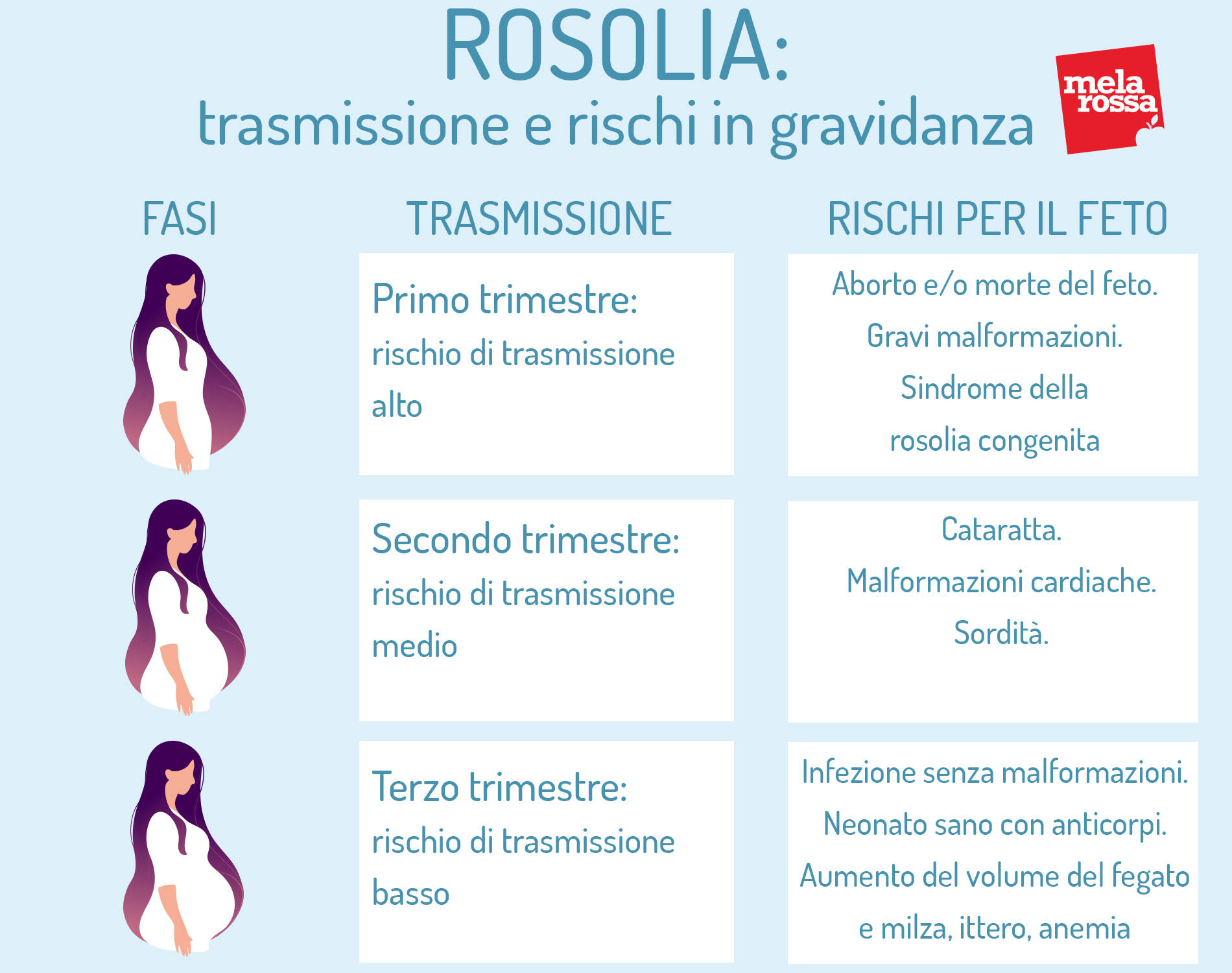 Rosolia: trasmissione e rischi in gravidanza mese per mese