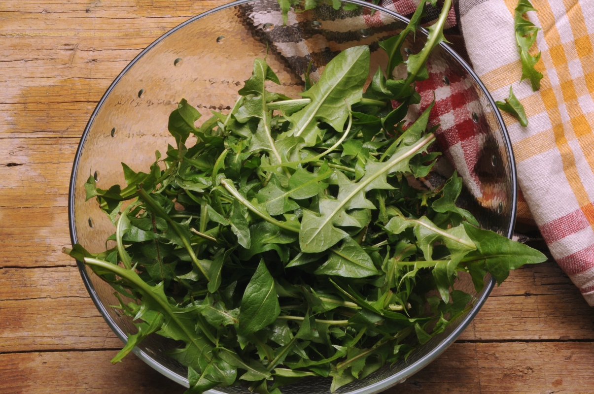 tarasacco o dente di leone: usi in cucina 