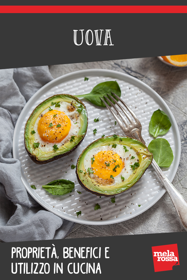 Uova: proprietà, benefici, usi in bellezza e in cucina