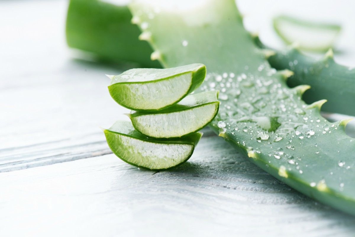 aloe-vera-caduta-capelli
