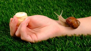 La bava di lumaca è sempre più ambita in cosmesi: ecco perché