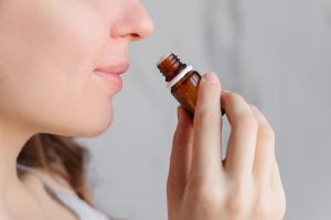 Eucalipto: botanica, coltivazione, proprietà terapeutiche, benefici, usi e controindicazioni