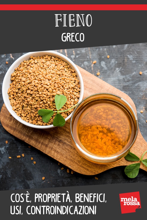 fieno greco: valori, proprietà e usi in bellezza e in cucina