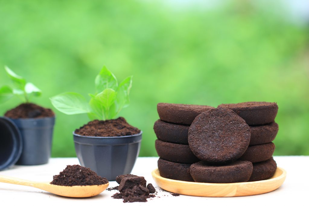 Fondi di caffè: 4 utilizzi per la casa e la beauty routine
