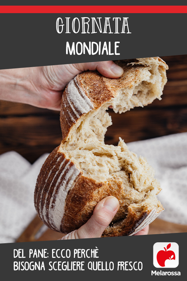 giornata mondiale pane