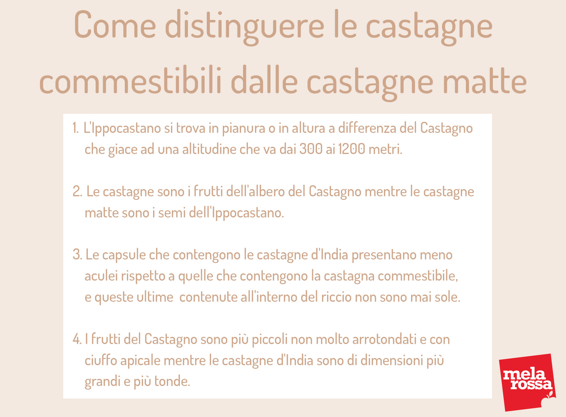 come distinguere ippocastano e castagne