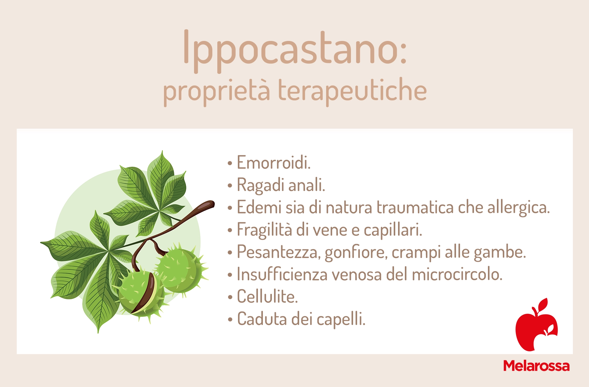 Ippocastano: proprietà, benefici, usi e botanica 11 una grafica sulle proprietà dell'ippocastano