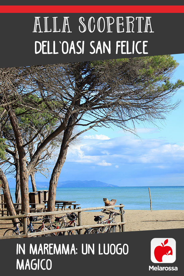 oasi san felice maremma pin