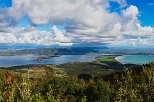 Alla scoperta dell’Oasi San Felice in Maremma: un luogo magico