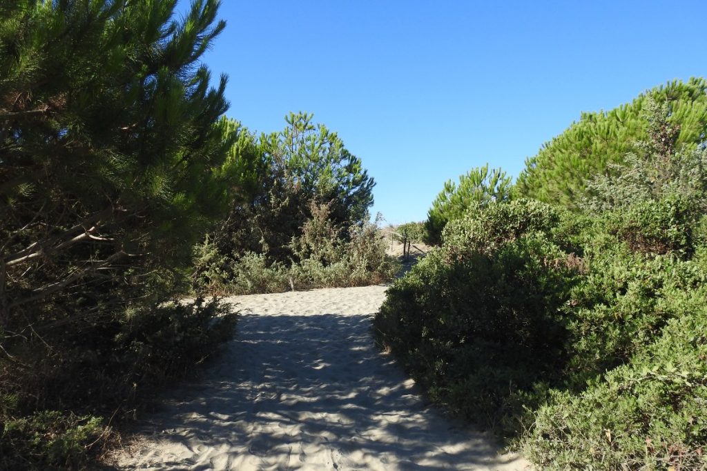 oasi san felice 9