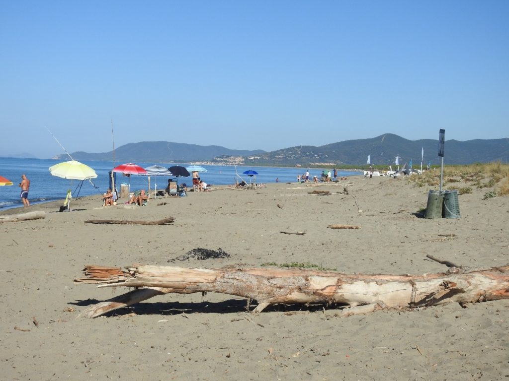 oasi san felice spiaggia