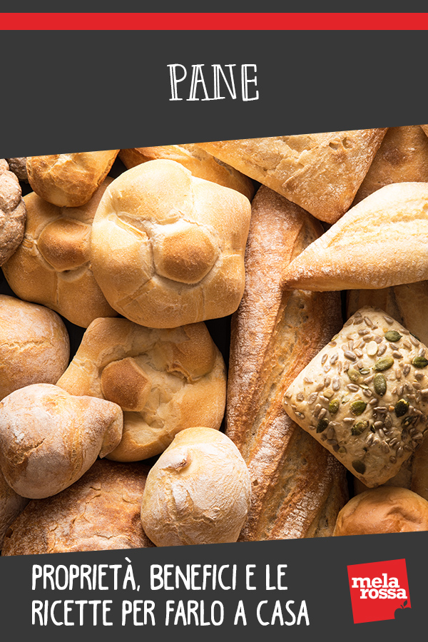 Pane, tipi, calorie, benefici e ricette