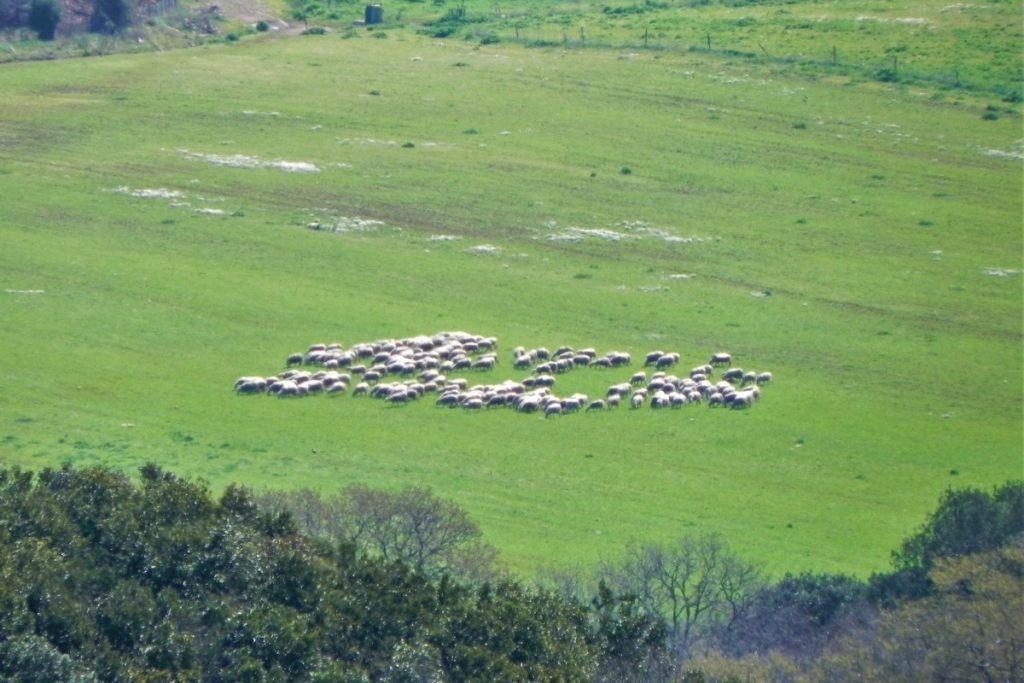 panorama dal sentiero per san rabano 2