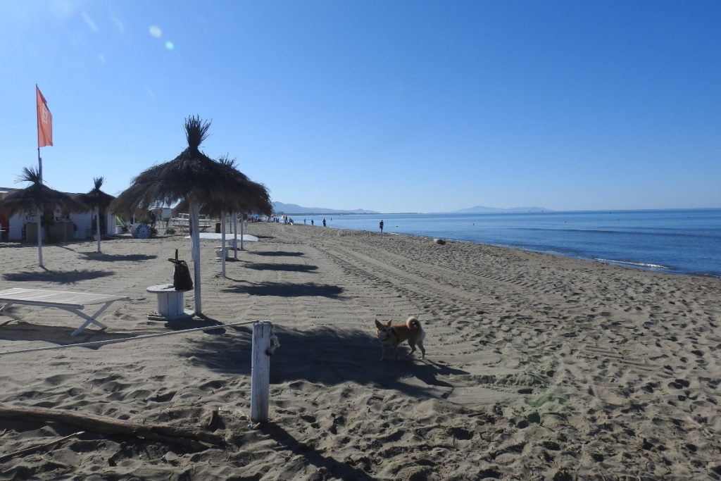 spiaggia con sullo sfondo monte argentario e isola del giglio