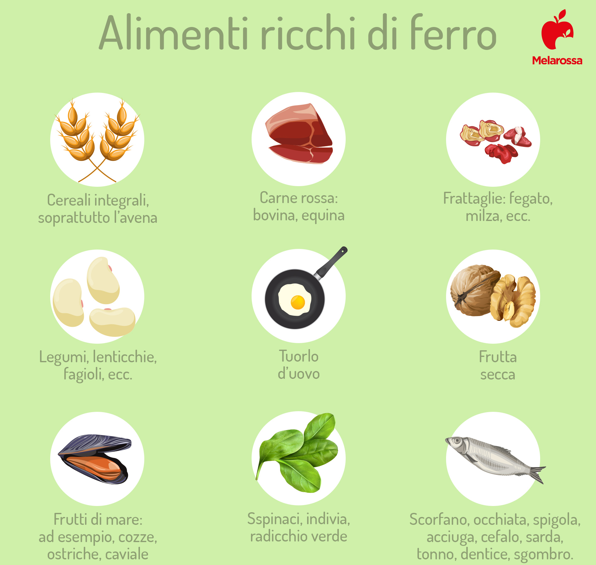 alimenti ricchi di ferro
