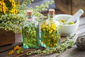 Assenzio: cos’è, proprietà terapeutiche, usi e controindicazioni