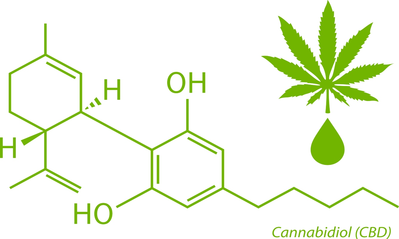 canapa sativa: composizione sativa
