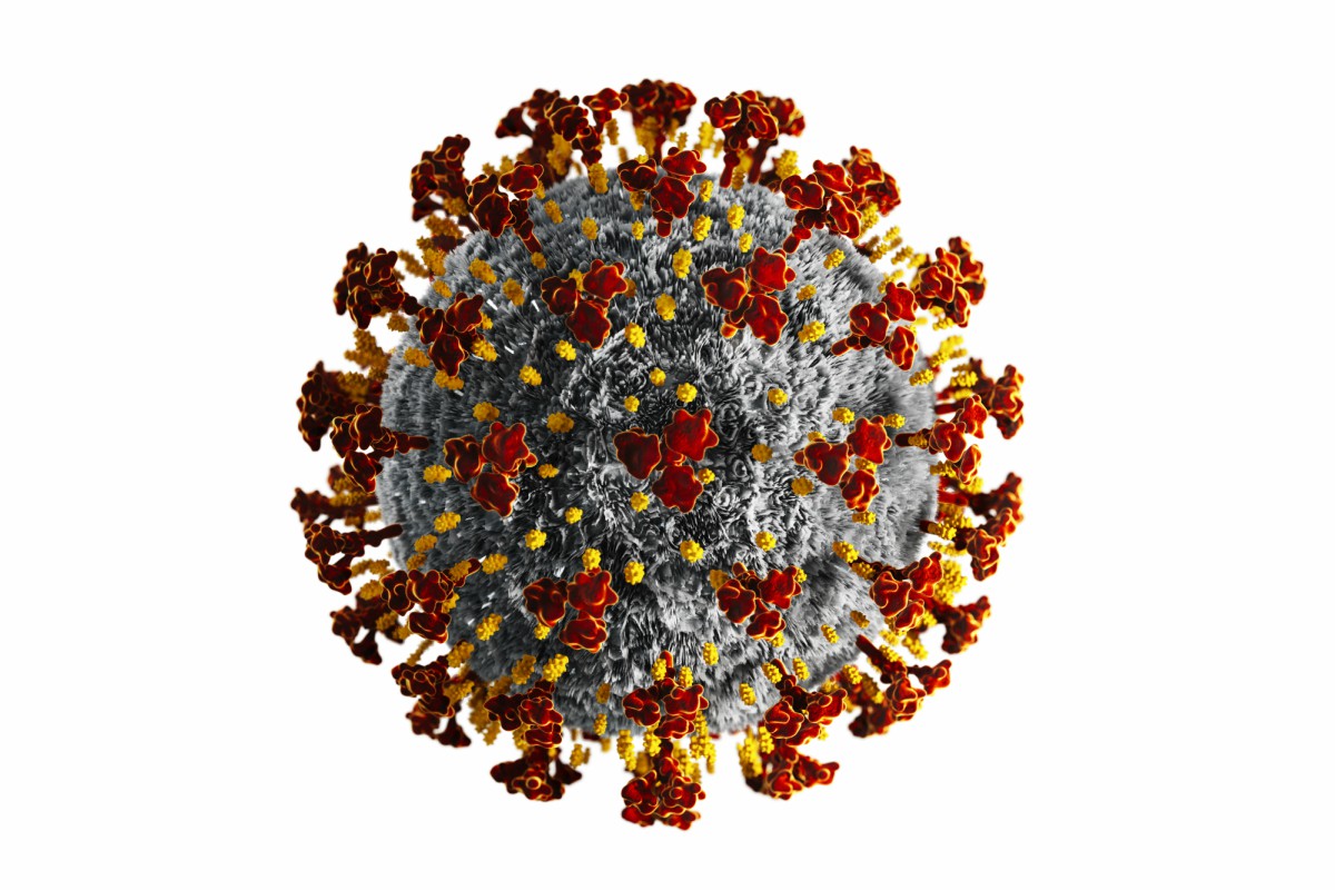coronavirus-tallone-dachille