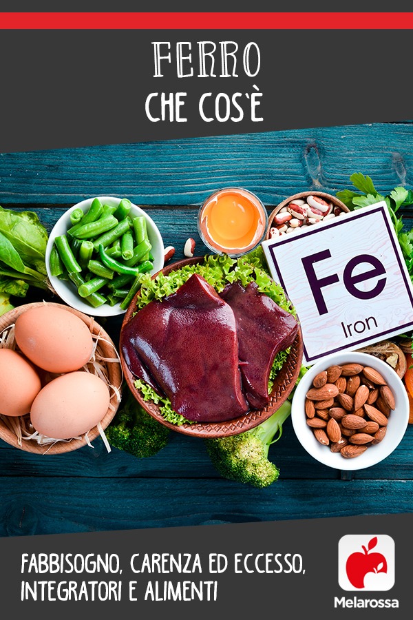 ferro: cos'è, fabbisogno, carenza, eccesso, integratori e alimenti