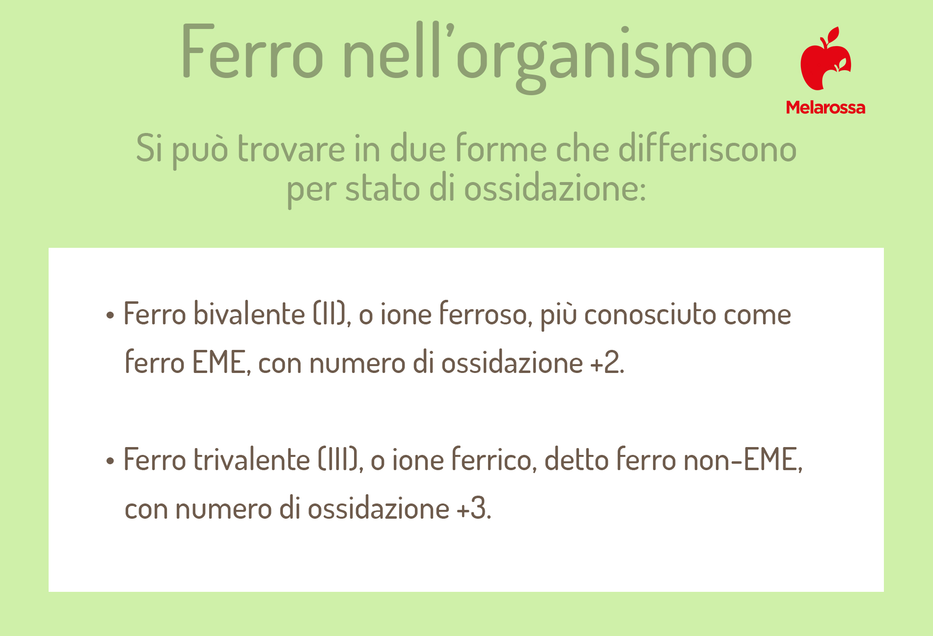 il ferro nell'organismo