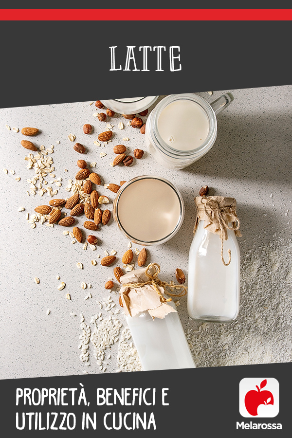 latte: cos'è, proprietà, benefici e usi in cucina