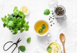 Melissa: cos’è, proprietà, benefici terapeutici, usi
