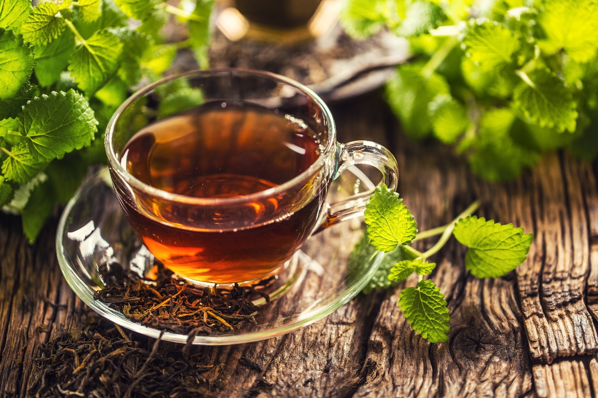 melissa: ricette tisane 