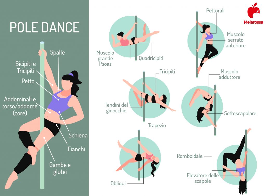 Pole dance: muscoli coinvolti