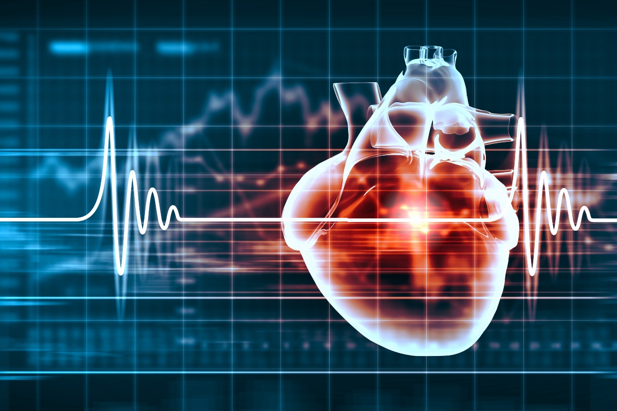 tachicardia: anatomia del cuore