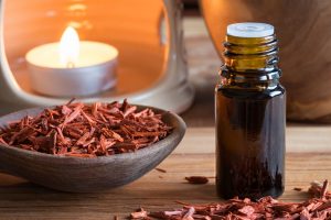 Sandalo: la pianta dal profumo inebriante tra proprietà, benefici, botanica, usanze popolari e controindicazioni