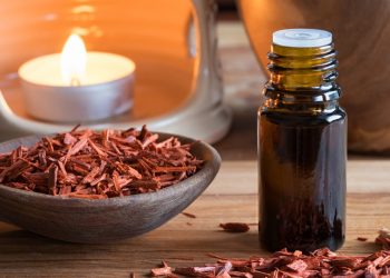Sandalo: proprietà, benefici, botanica, usanze popolari e controindicazioni