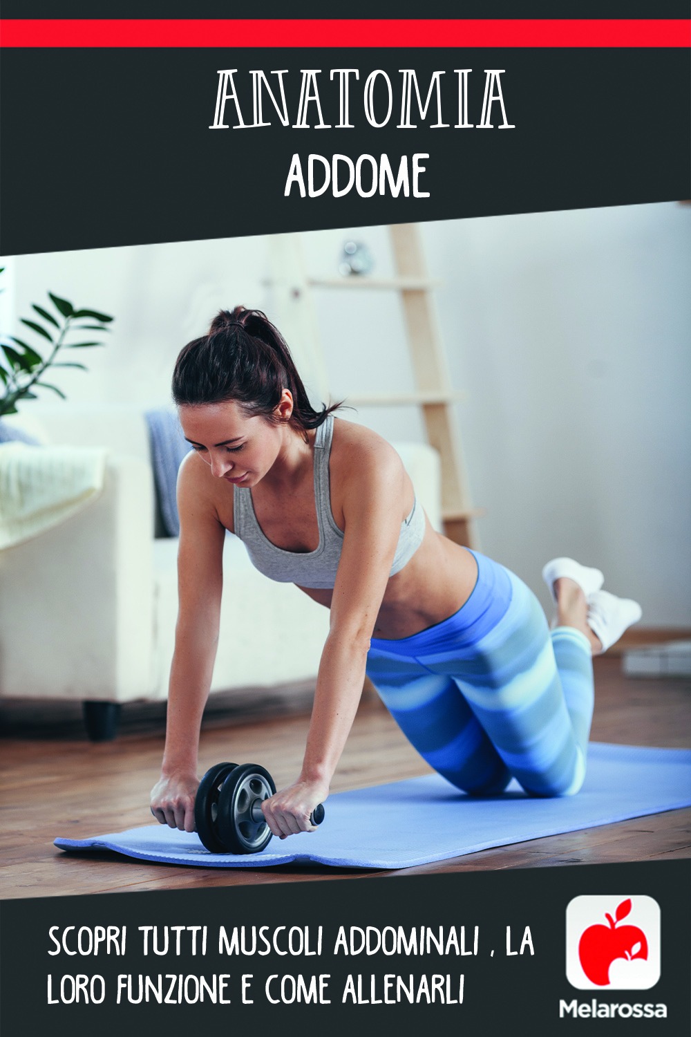 anatomia addome: scopri i muscoli e come allenarli 