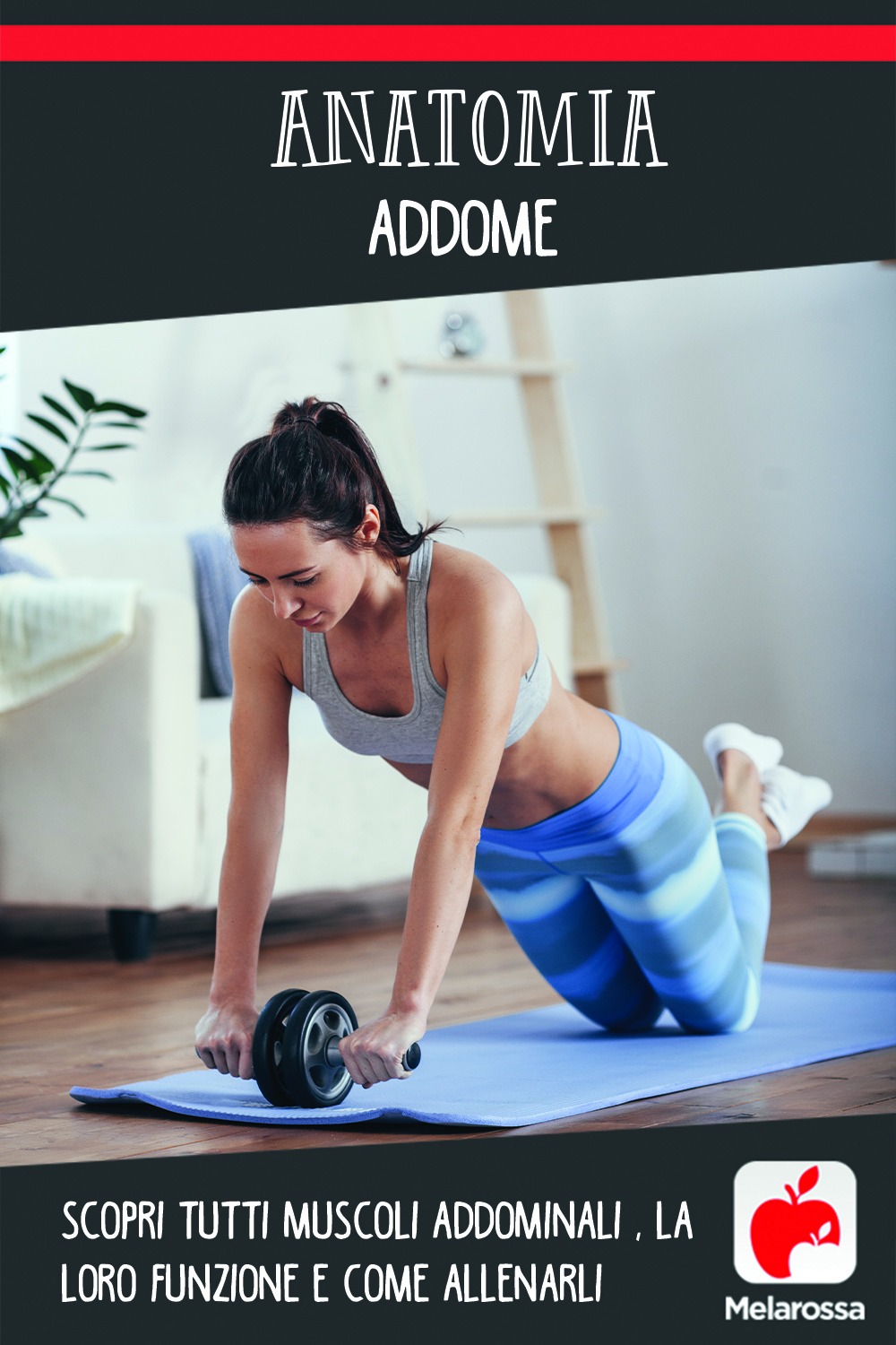 anatomia addome: scopri i muscoli e come allenarli