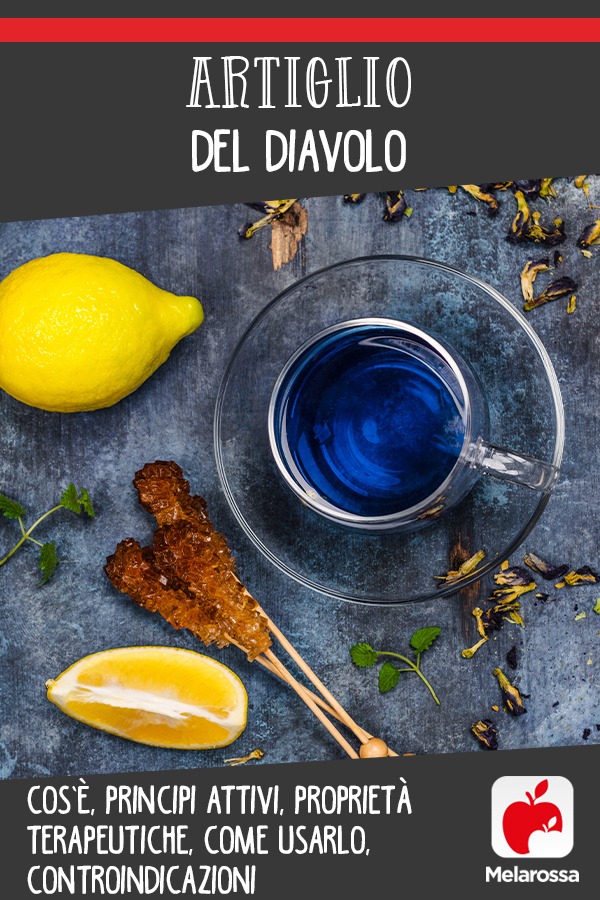 artiglio del diavolo cos e prinicpi attivi benefici come usarlo