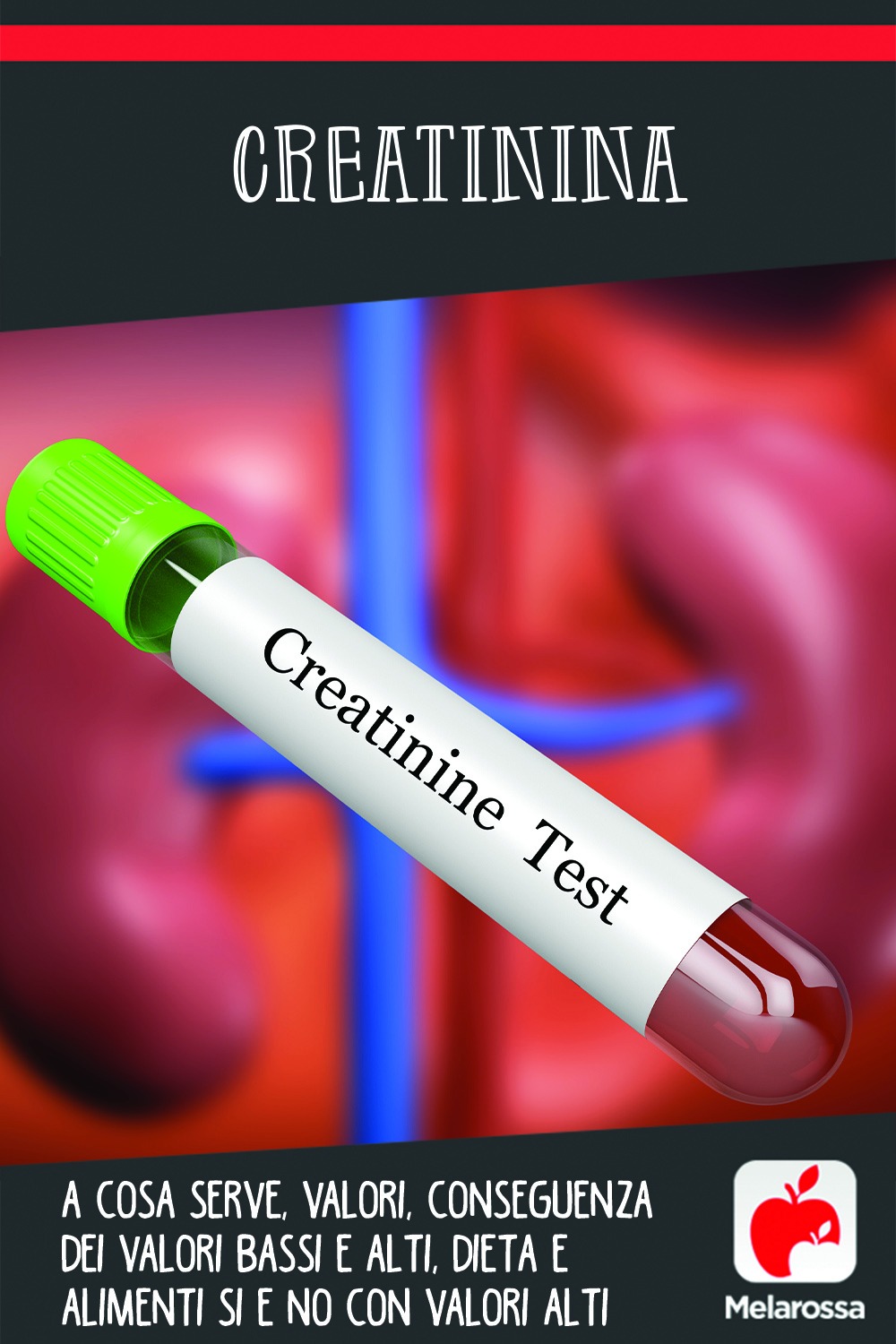 creatinina. cos'è a cosa serve, analisi del sangue e dieta quando i valori sono alti