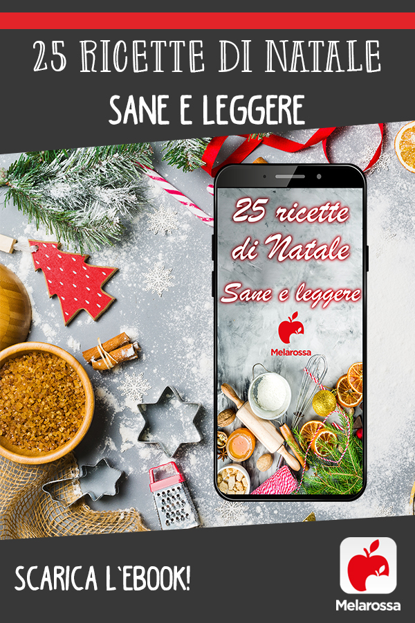 ebook ricette di Natale sane e leggere