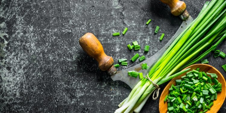 erba cipollina: benefici e usi in cucina