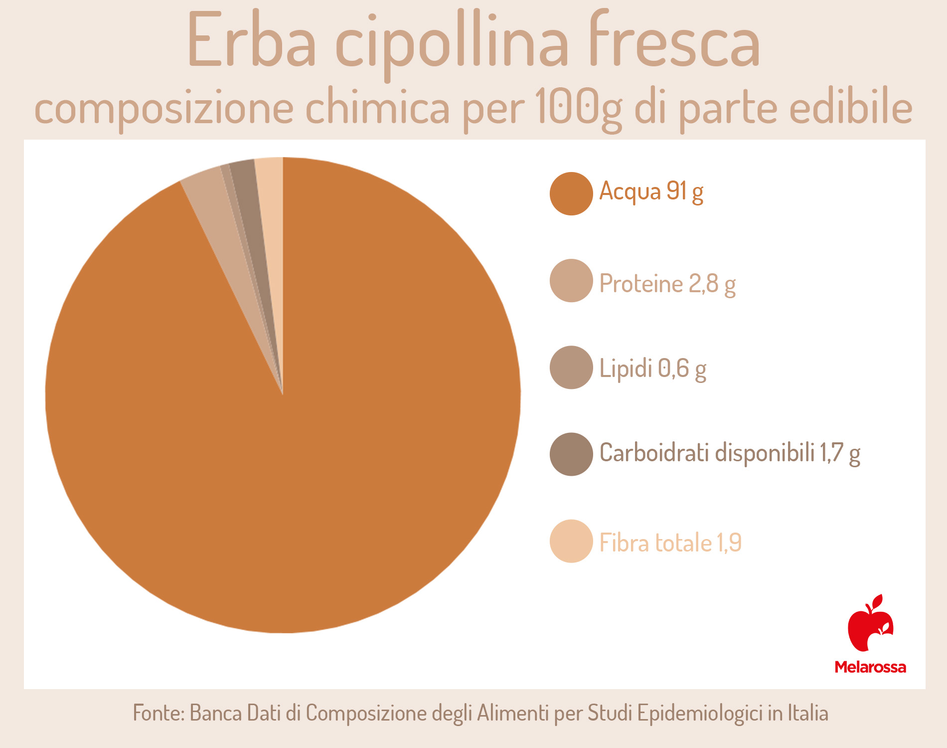 erba cipollina: composizione chimica