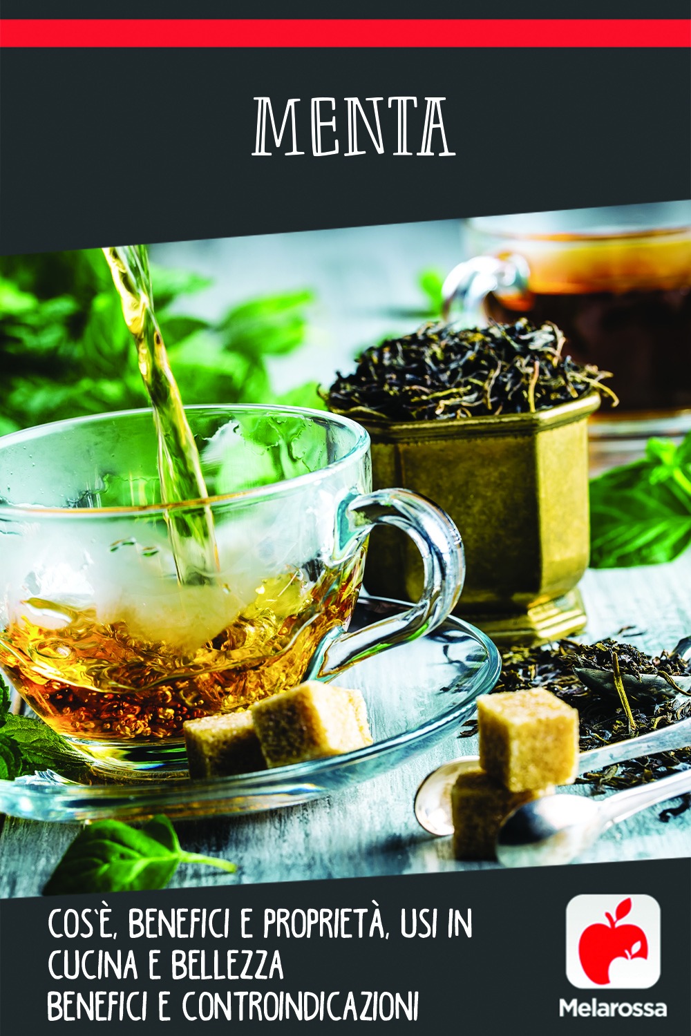 Menta Cos E Benefici E Proprieta Usi In Cucina E Bellezza