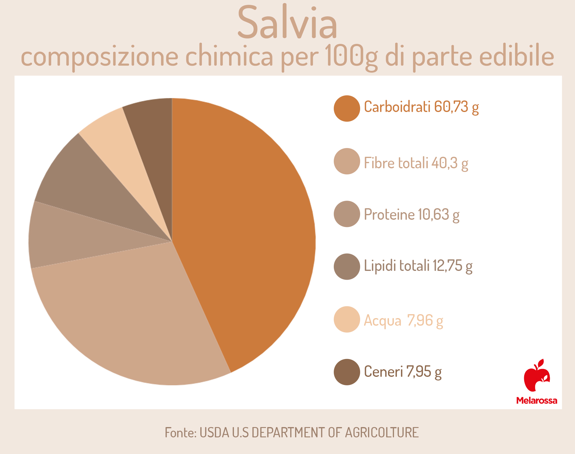 salvia: composizione chimica