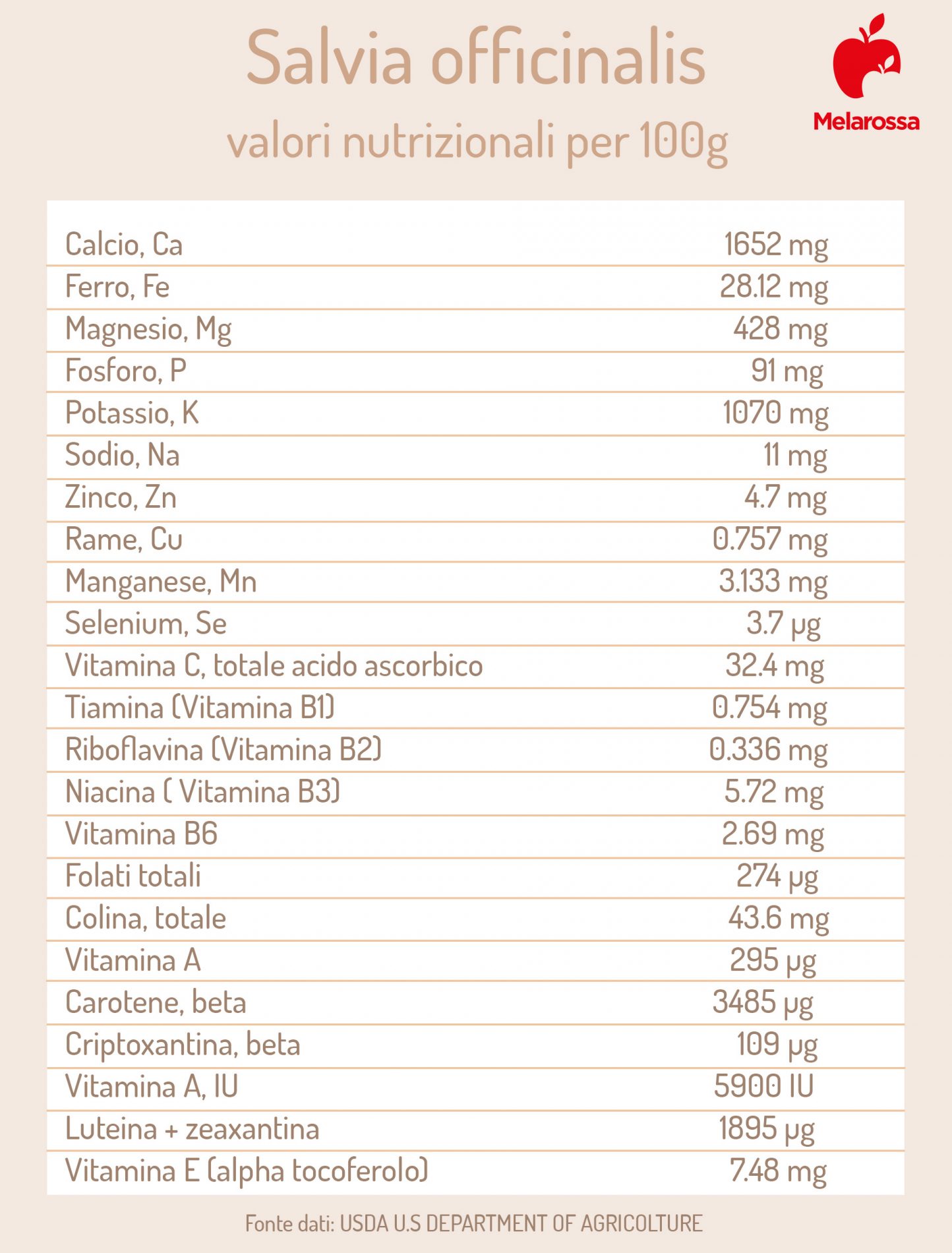 salvia: valori nutrizionali